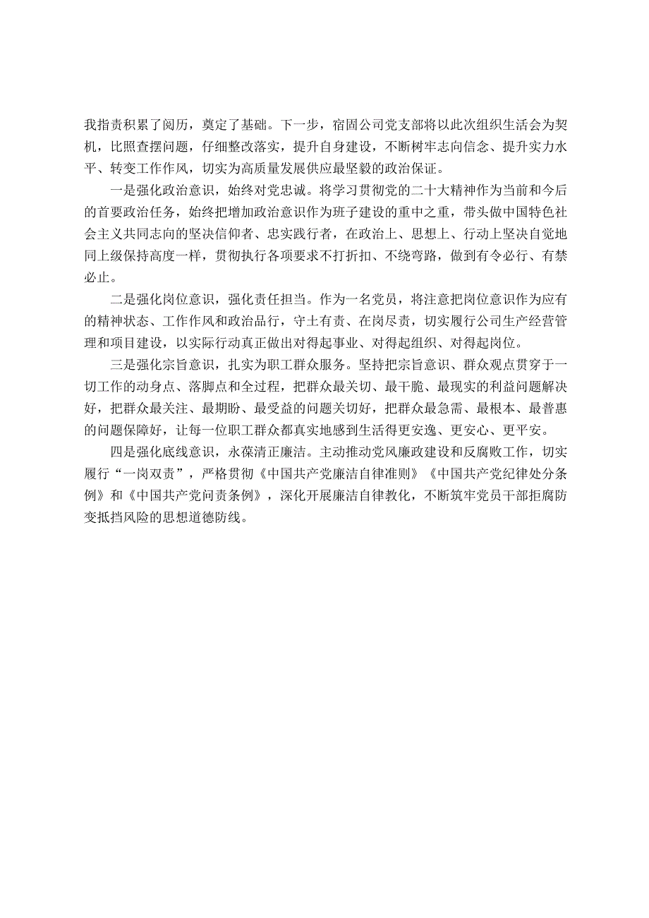 公司党支部2024组织生活会及民主评议党员开展情况报告.docx_第3页