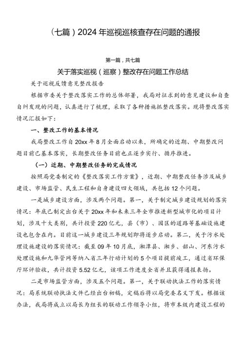 （七篇）2024年巡视巡核查存在问题的通报.docx