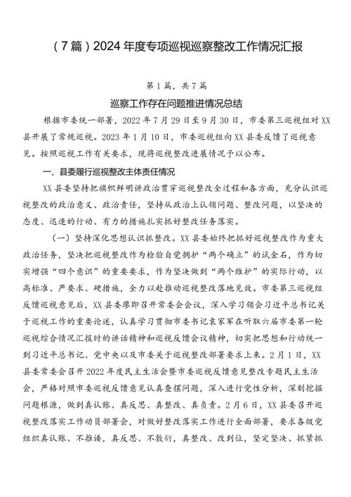 （7篇）2024专项巡视巡察整改工作情况汇报.docx