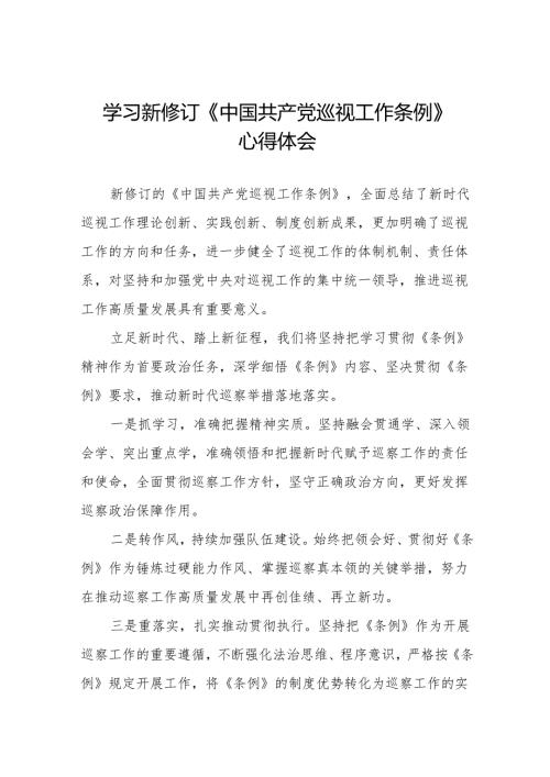 七篇学习新修订《中国共产党巡视工作条例2024版》心得体会.docx