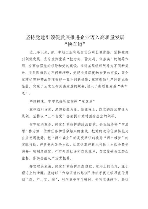 坚持党建引领促发展 推动企业迈入高质量发展“快车道”.docx