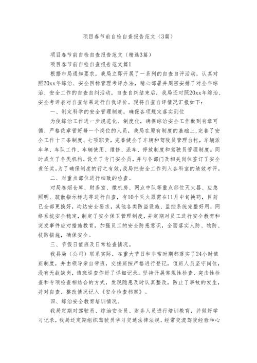 项目节前自检自查报告范文（3篇）.docx