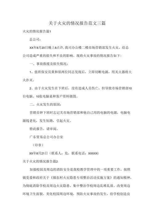关于火灾的情况报告范文三篇.docx