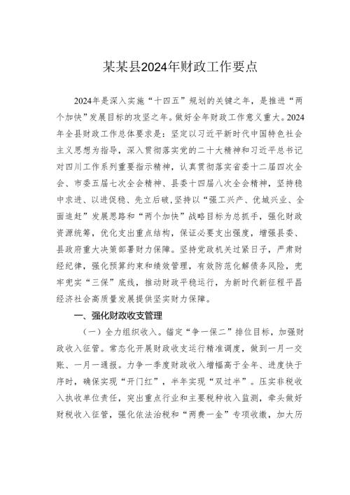 某某县2024年财政工作要点.docx