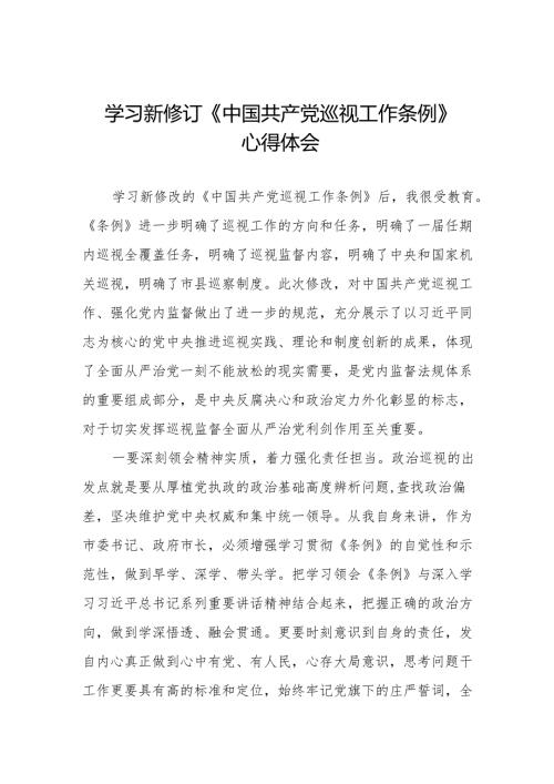 领导干部学习2024版新修订《中国共产党巡视工作条例》心得体会四篇.docx