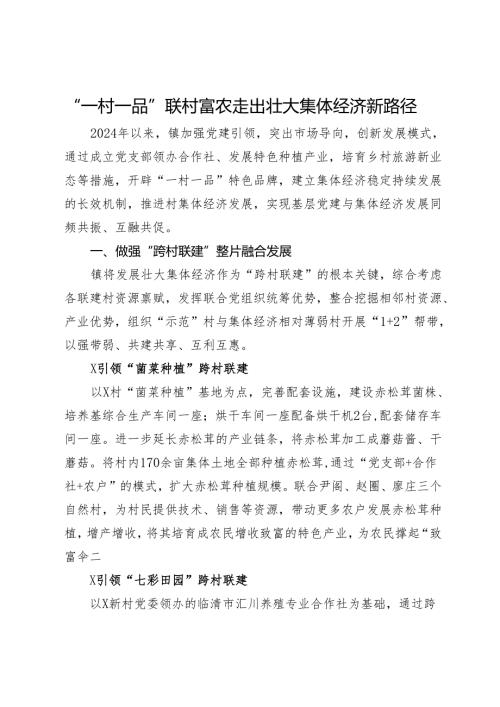经验做法：“一村一品”联村富农 走出壮大集体经济新路径.docx