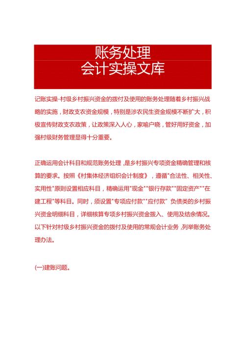 记账实操村级乡村振兴资金的拨付及使用的账务处理.docx
