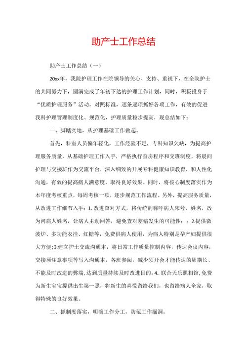 助产士工作总结.docx