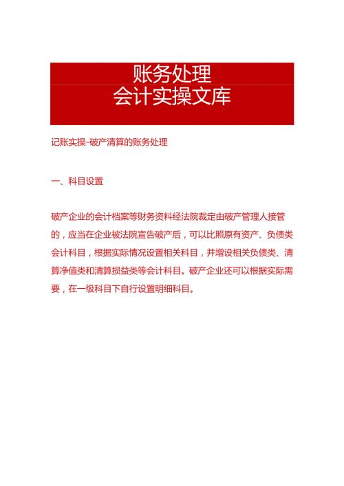 记账实操破产清算的账务处理.docx