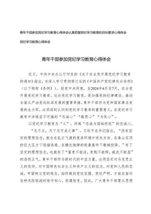 3篇 2024年青年干部参加党纪学习教育心得体会.docx