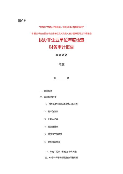 民办非企业单位审计报告模板.docx