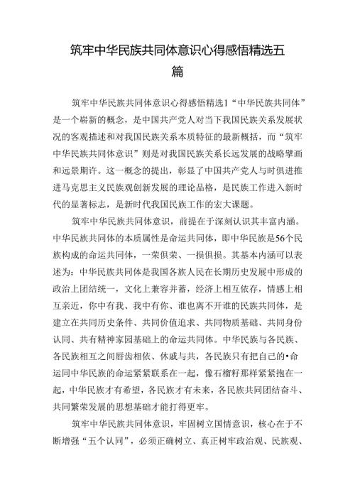 筑牢中华民族共同体意识心得感悟精选五篇.docx