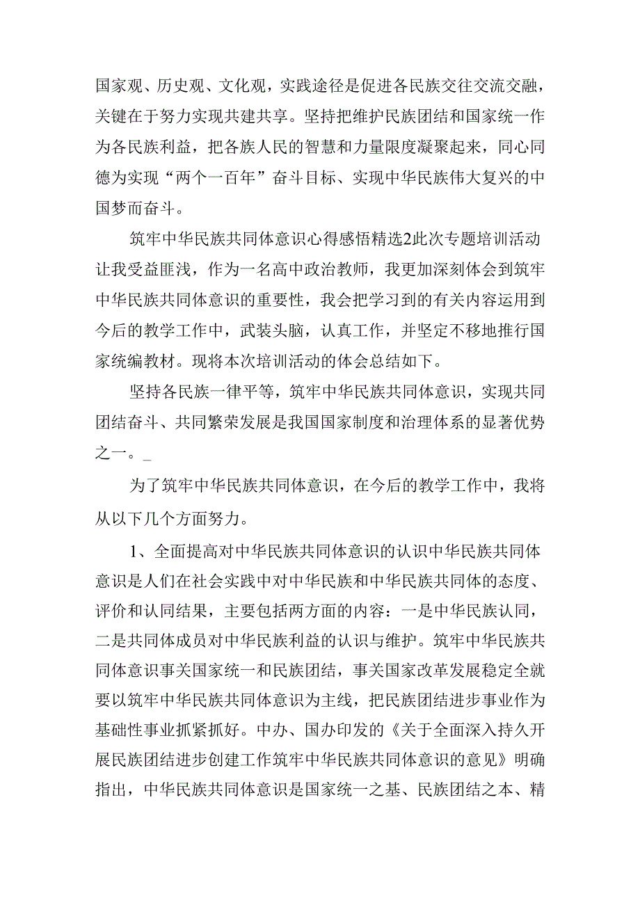 筑牢中华民族共同体意识心得感悟精选五篇.docx_第2页