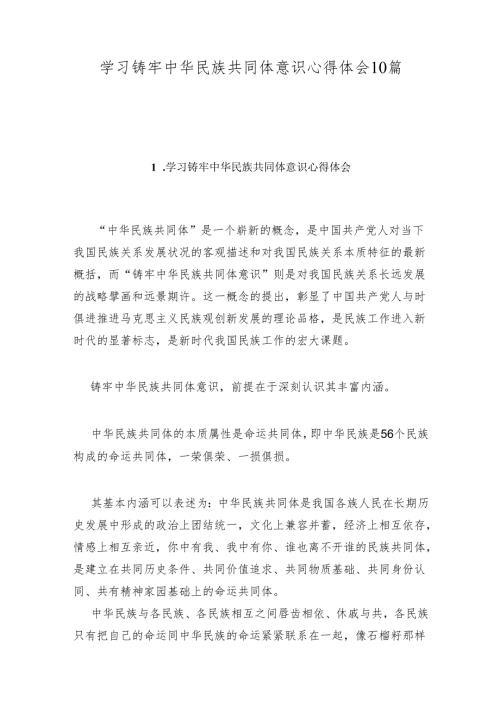 学习铸牢中华民族共同体意识心得体会10篇.docx