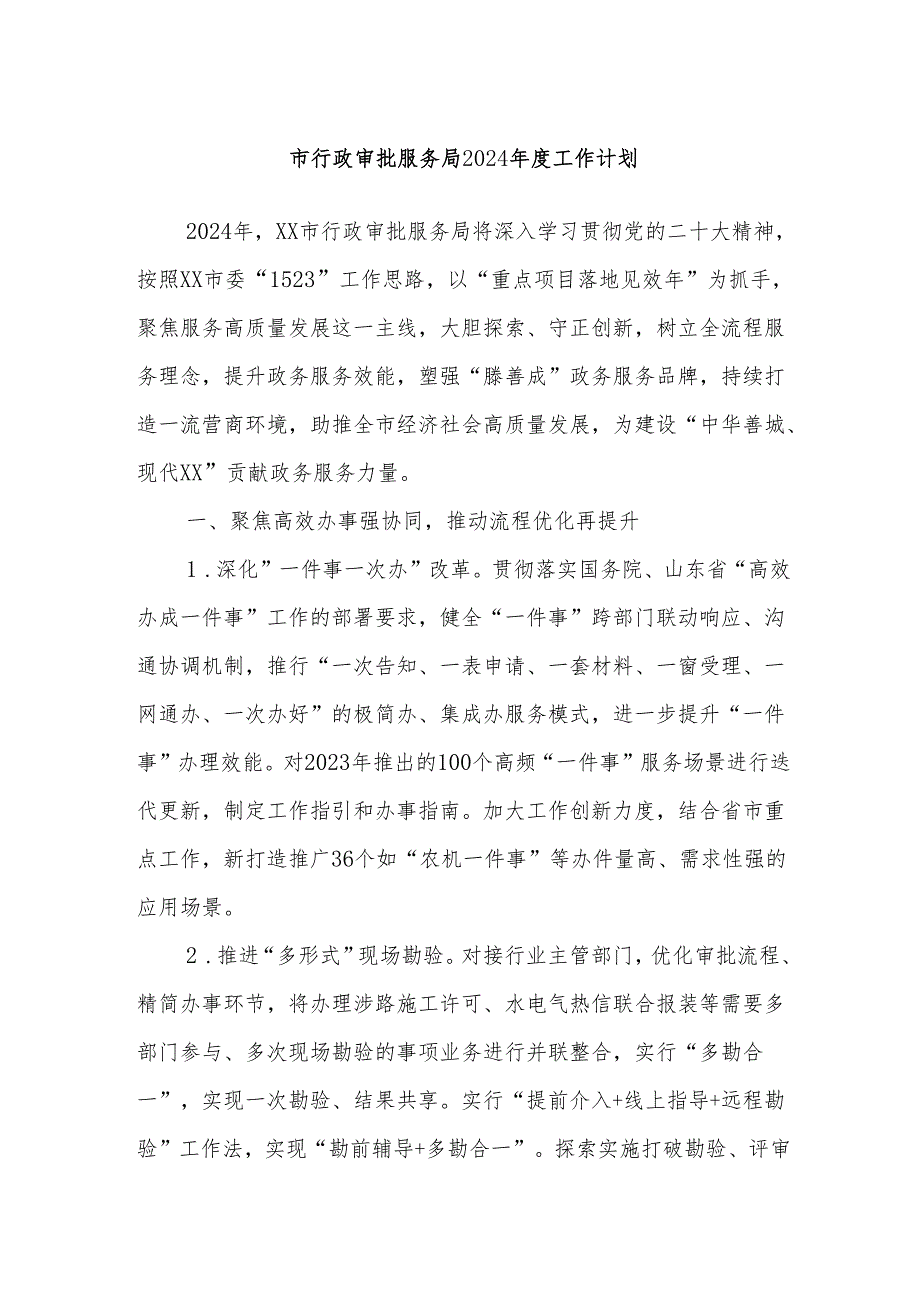 市行政审批服务局2024工作计划.docx_第1页