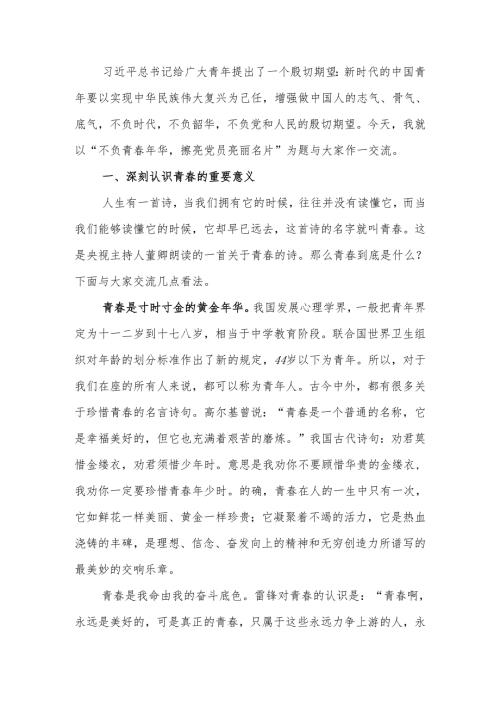 不负青年华擦亮党员亮丽名片青年党员干部学习讲稿.docx