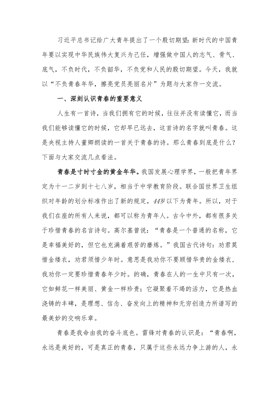 不负青年华擦亮党员亮丽名片青年党员干部学习讲稿.docx_第1页