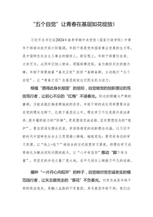 2024年青年党员干部学习“五个自觉” 研讨发言心得体会感想10篇.docx