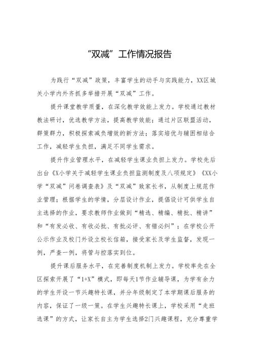 2024年“双减”工作情况专项督导报告十一篇.docx