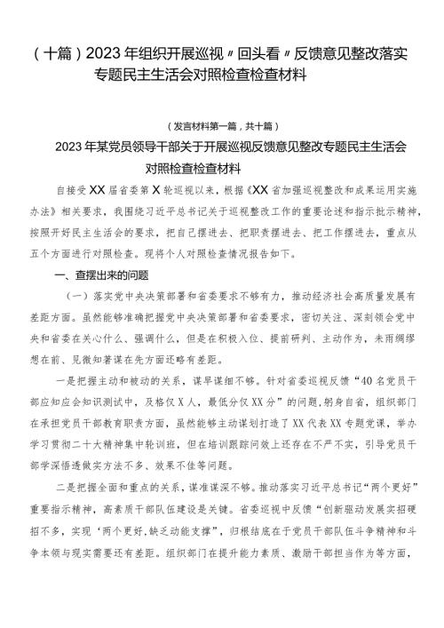（十篇）2023年组织开展巡视“回头看”反馈意见整改落实专题民主生活会对照检查检查材料.docx