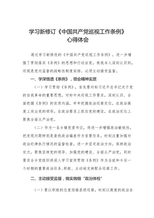 学习2024版新修订《中国共产党巡视工作条例》心得体会十九篇.docx