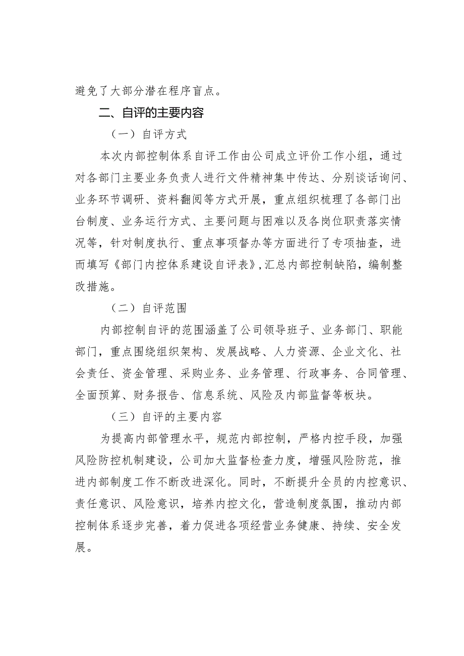 某某公司内部控制体系建设自评报告.docx_第3页
