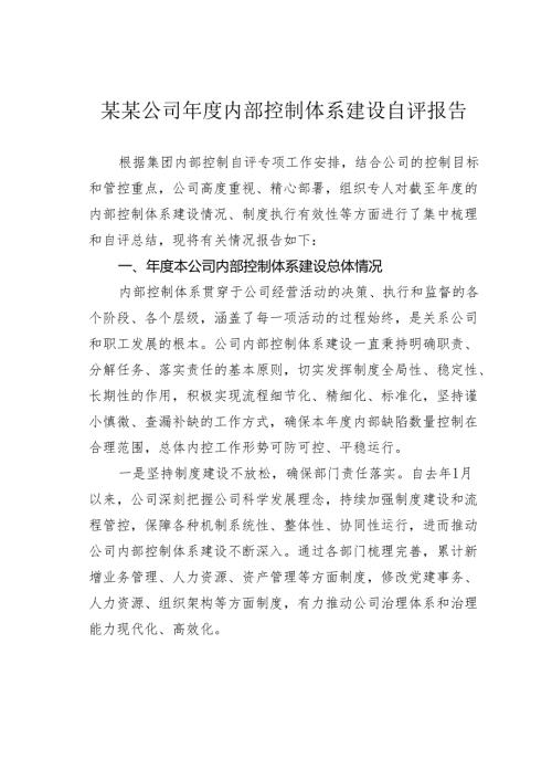 某某公司内部控制体系建设自评报告.docx