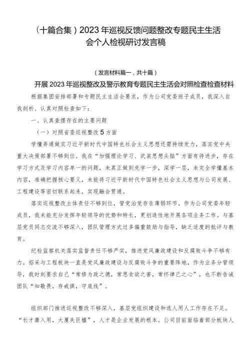 （十篇合集）2023年巡视反馈问题整改专题民主生活会个人检视研讨发言稿.docx