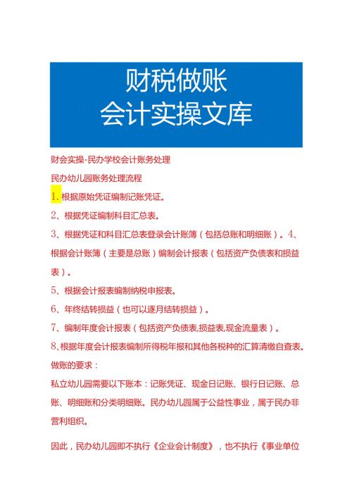 财会实操民办学校会计账务处理.docx