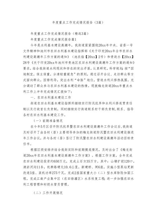 重点工作完成情况报告（3篇）.docx