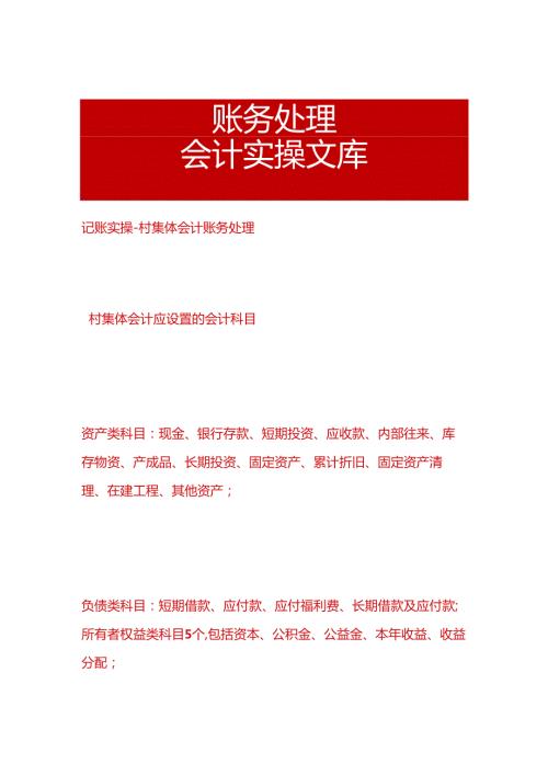 记账实操村集体会计账务处理.docx