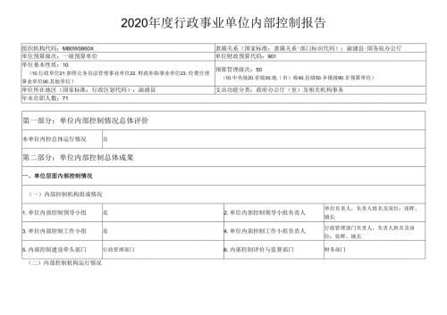 2020行政事业单位内部控制报告.docx