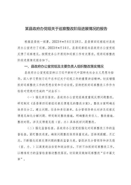2024年县政府办党组关于巡察整改阶段进展情况的报告.docx