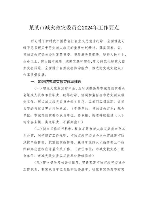 某某市减灾救灾委员会2024年工作要点.docx