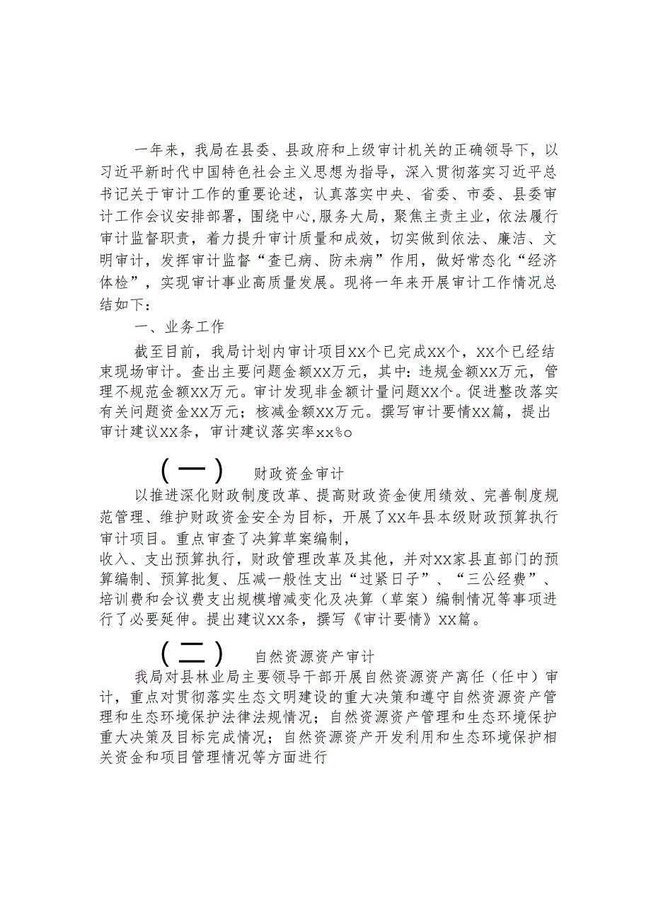 2023年审计局工作总结.docx_第1页