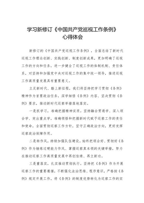 纪检巡察干部学习2024版新修订中国共产党巡视工作条例的心得体会8篇.docx