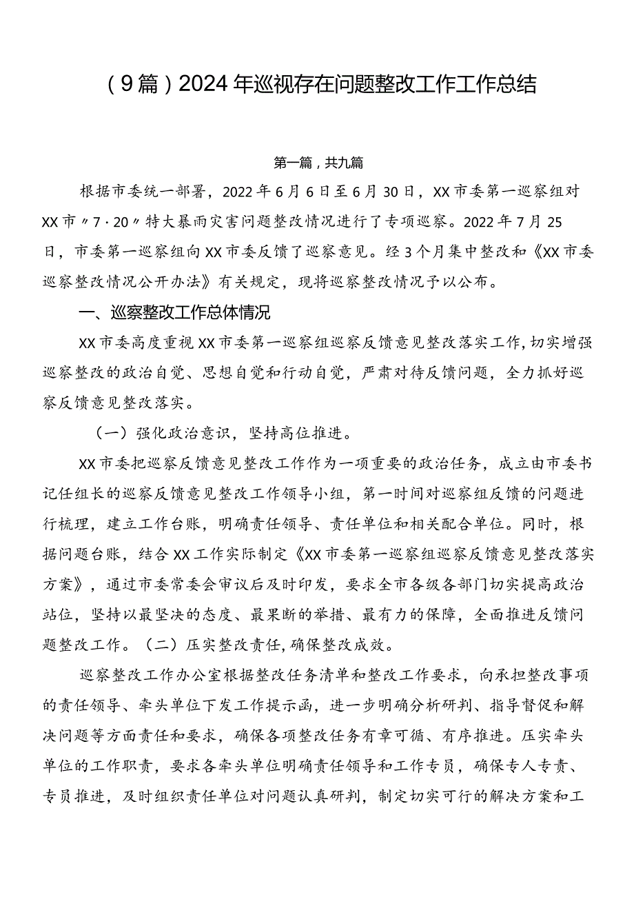 （9篇）2024年巡视存在问题整改工作工作总结.docx_第1页
