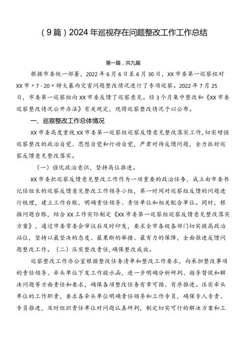 （9篇）2024年巡视存在问题整改工作工作总结.docx