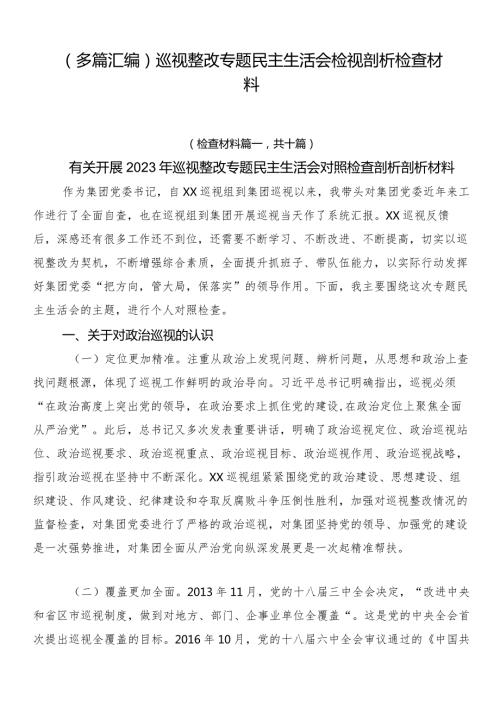 （多篇汇编）巡视整改专题民主生活会检视剖析检查材料.docx