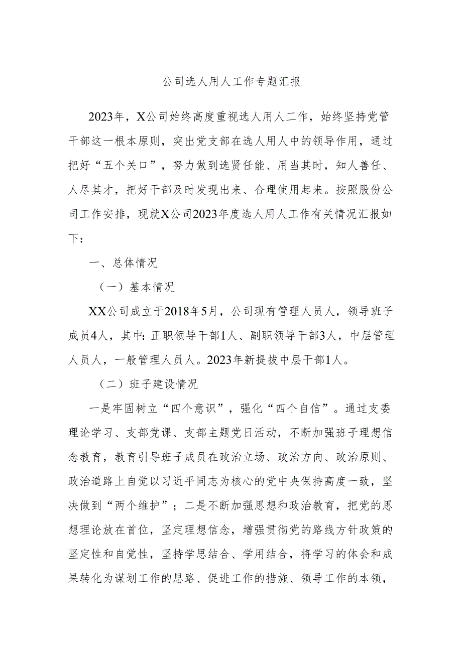 公司选人用人工作专题汇报.docx_第1页