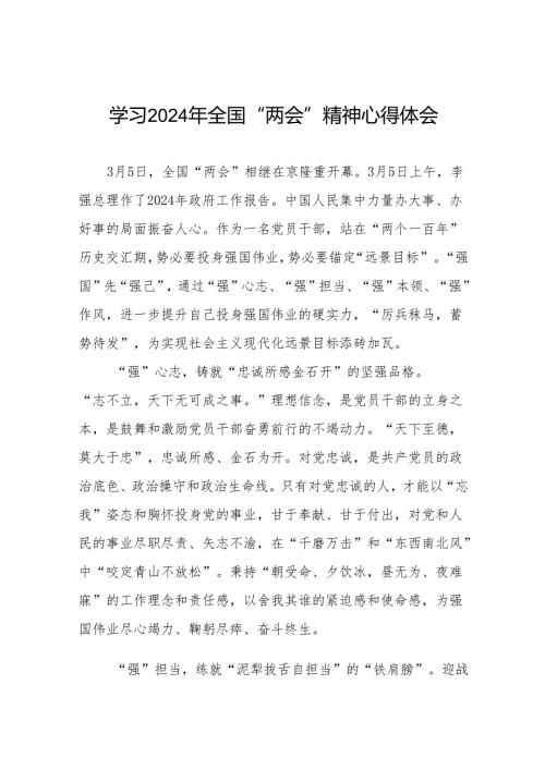 2024年全国两会心得体会四十二篇.docx