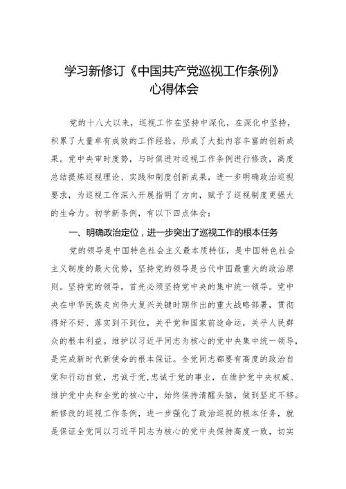 学习贯彻2024新修订中国共产党巡视工作条例心得体会研讨发言材料8篇.docx