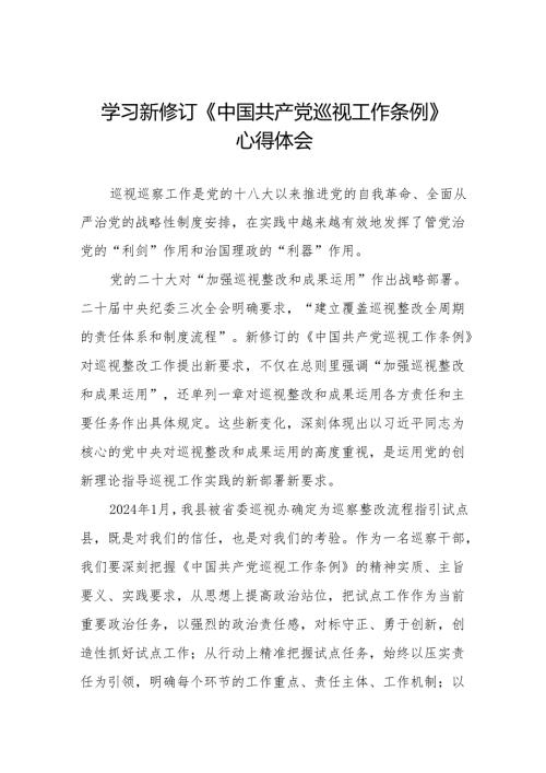 巡察干部学习2024版《中国共产党巡视工作条例》心得体会四篇.docx