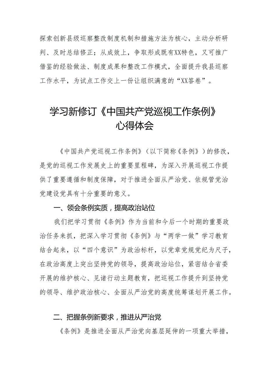 巡察干部学习2024版《中国共产党巡视工作条例》心得体会四篇.docx_第2页