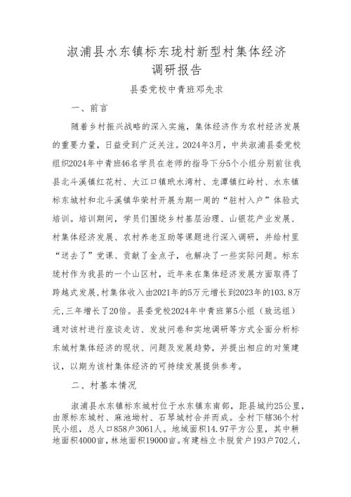 村新型村集体经济调研报告.docx