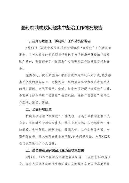 2024年医院关于医药领域腐败问题集中整治总结十四篇.docx