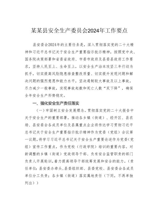 某某县安全生产委员会2024年工作要点.docx