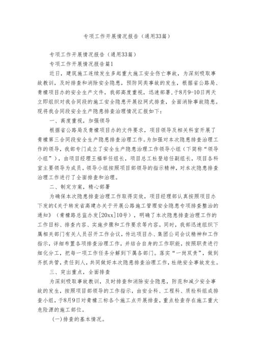 专项工作开展情况报告（通用33篇）.docx