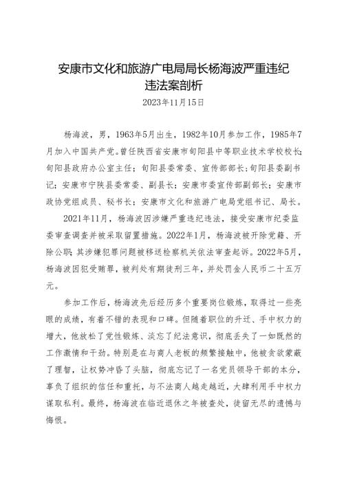 案例剖析：安康市文化和旅游广电局局长杨海波严重违纪违法案剖析.docx