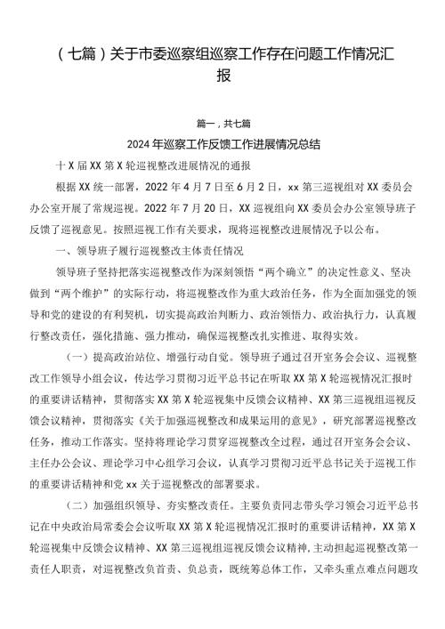 （七篇）关于市委巡察组巡察工作存在问题工作情况汇报.docx